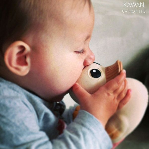 Papera kawan gomma naturale Hevea