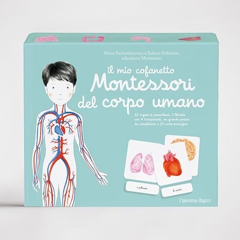 Il-mio-cofanetto-Montessori-del-corpo-umano-Ippocampo-Edizioni