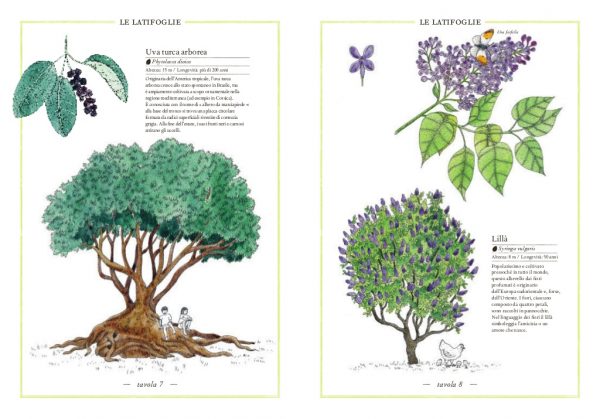Inventario illustrato degli alberi Ippocampo Edizioni