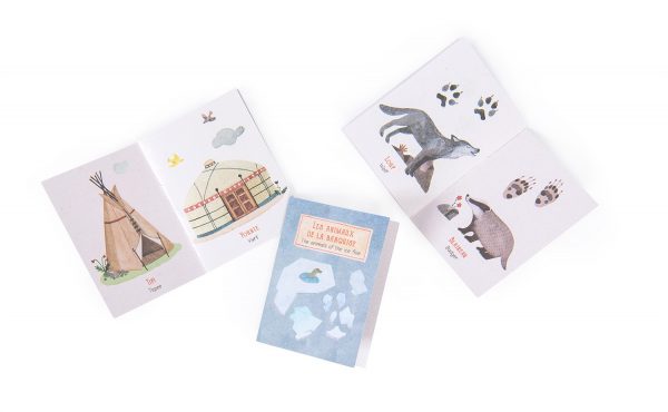 Lampada proietta storie + 3 mini libri del esploratore Moulin Roty