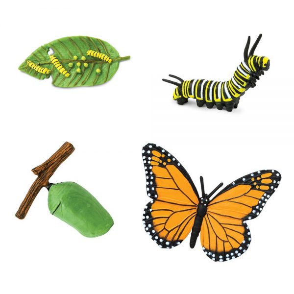 Set ciclo della vita della farfalla Safari LTD