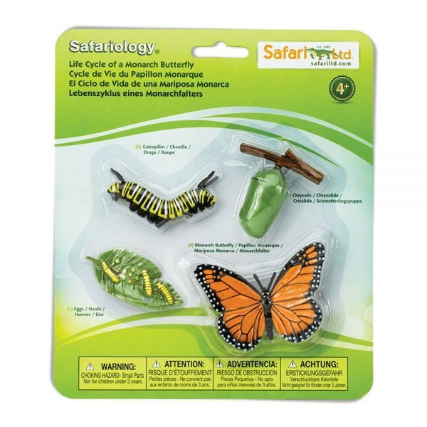 Set ciclo della vita della farfalla Safari LTD