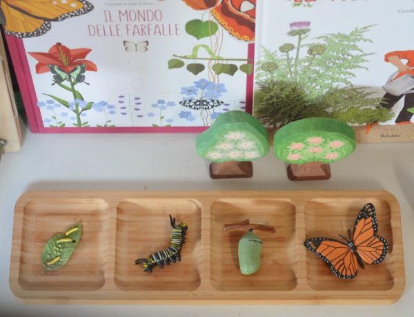 Set ciclo della vita della farfalla Safari LTD