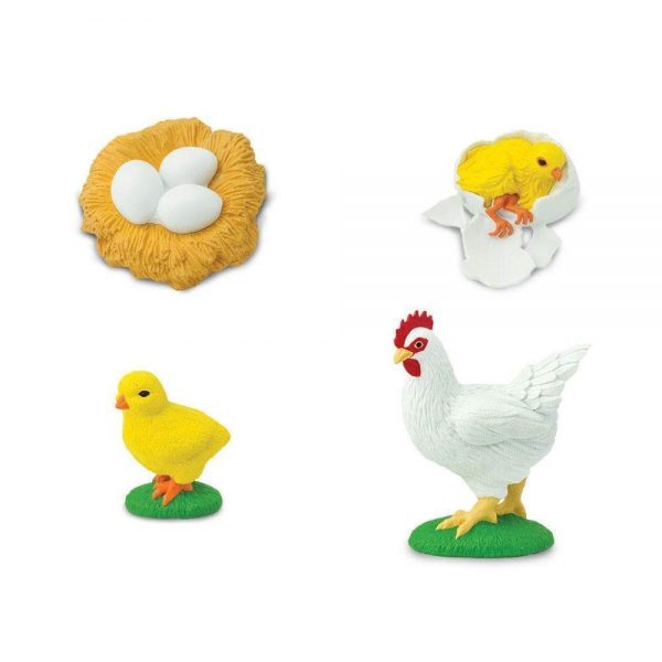 Ciclo della vita di un pollo Safari LTD