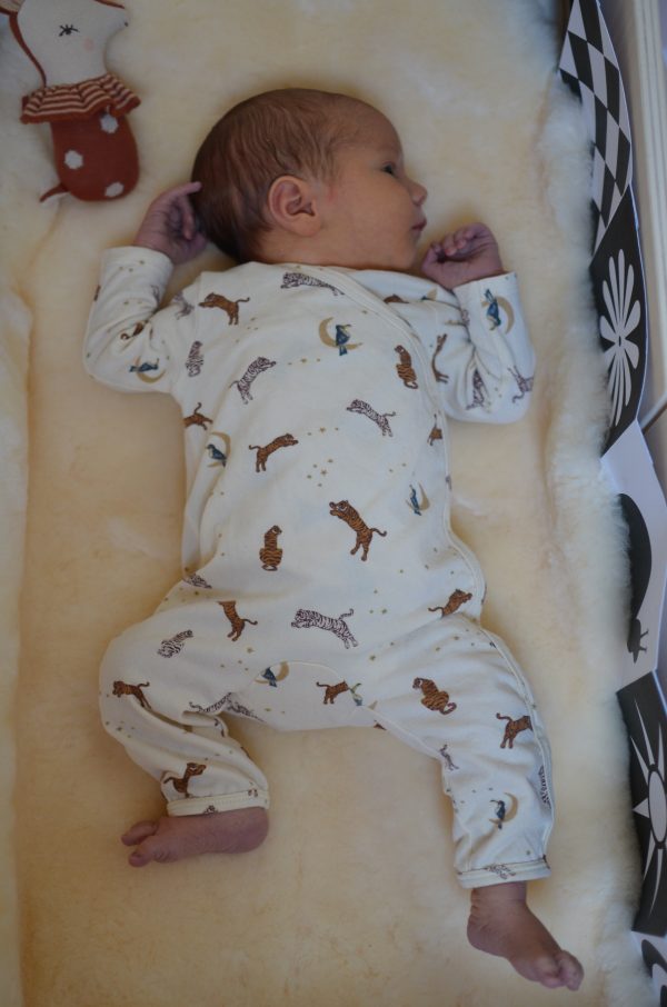 Baby activity set Mint-Forest MODU + CARTE