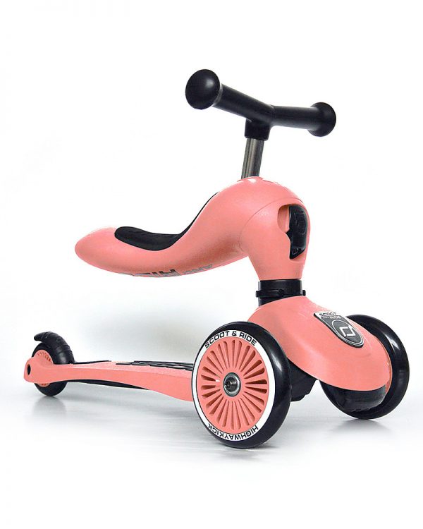 Monopattino e cavalcabile 2in1 Pesca Scoot and Ride