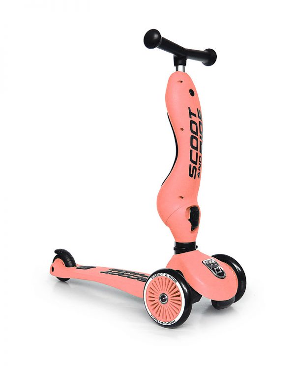Monopattino e cavalcabile 2in1 Pesca Scoot and Ride