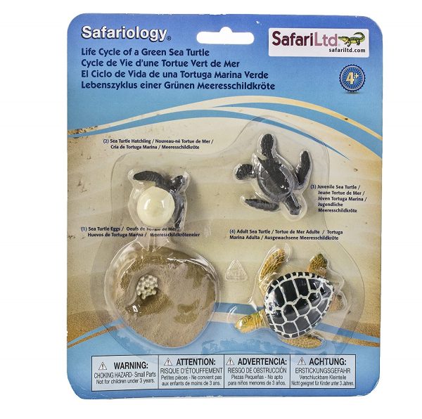 Set ciclo della vita della Tartaruga marina Safari LTD