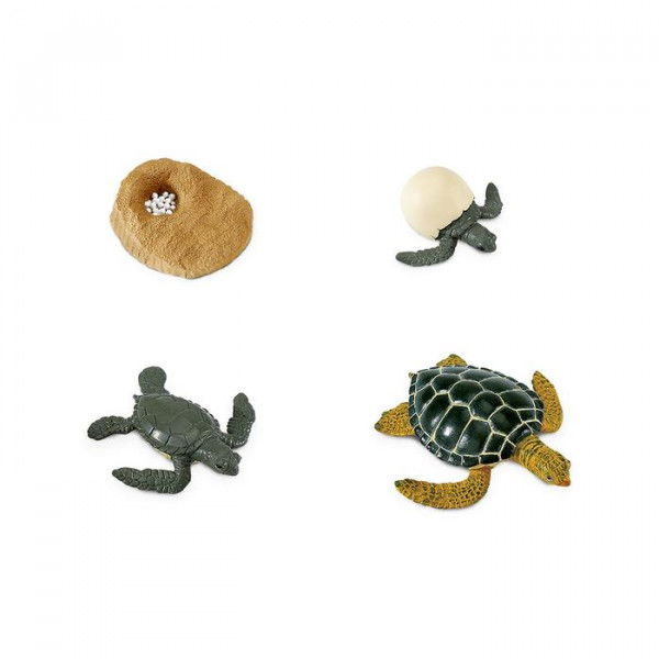 Set ciclo della vita della Tartaruga marina Safari LTD - Babookidsdesign