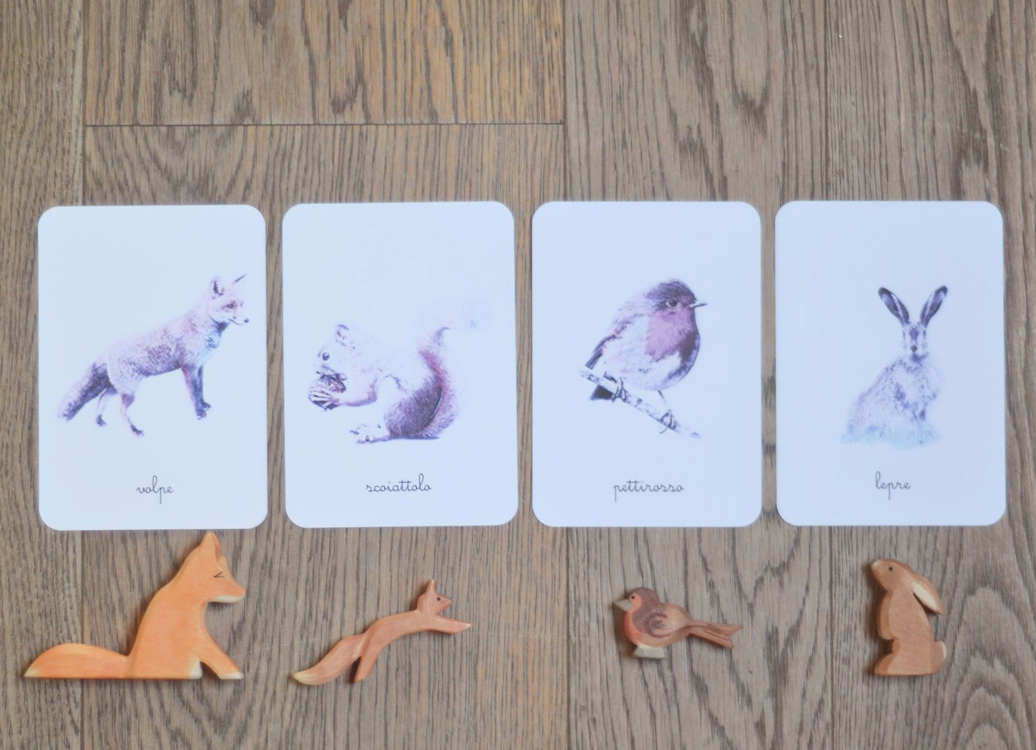 Carte delle nomenclature Animali del bosco Baboo - Babookidsdesign