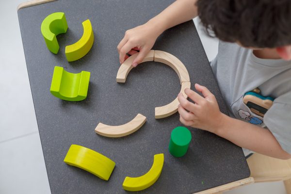 Gioco logico matematico curve blocks Plan Toys