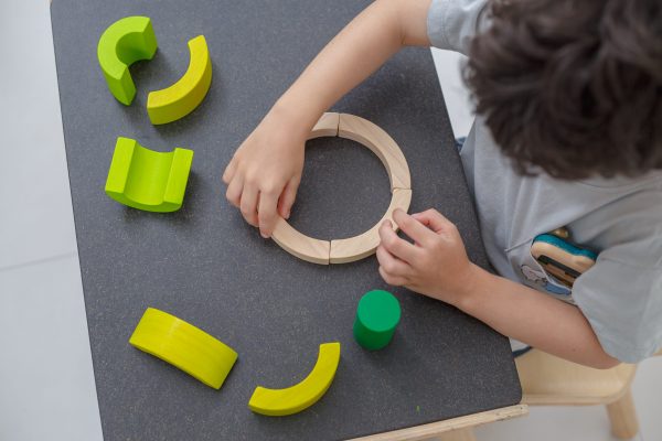 Gioco logico matematico curve blocks Plan Toys