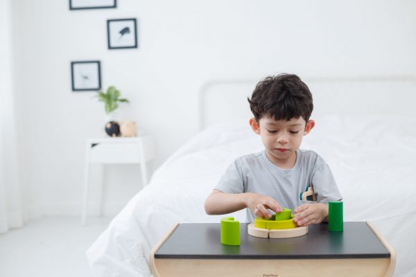 Gioco logico matematico curve blocks Plan Toys