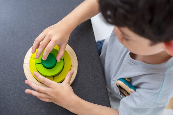 Gioco logico matematico curve blocks Plan Toys