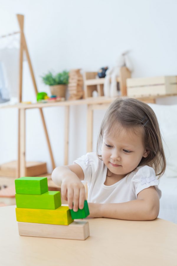 Gioco logico matematico ordering blocks Plan Toys