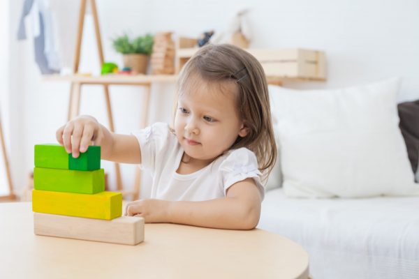 Gioco logico matematico ordering blocks Plan Toys