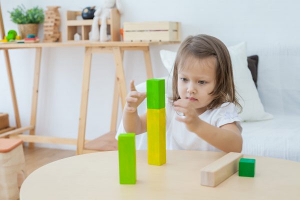Gioco logico matematico ordering blocks Plan Toys
