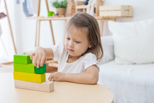 Gioco logico matematico ordering blocks Plan Toys