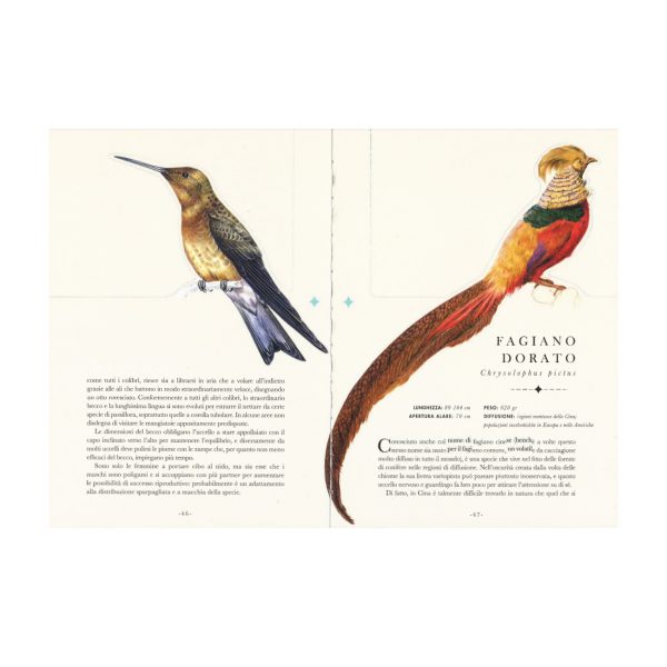 Gli uccelli - Il libro che si trasforma in un’opera d’arte