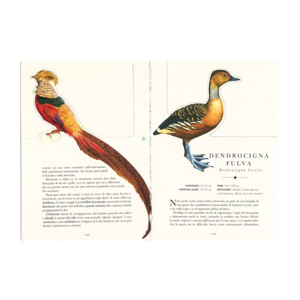 Gli uccelli - Il libro che si trasforma in un’opera d’arte