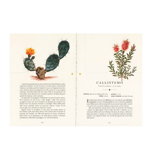 I fiori - Il libro che si trasforma in un’opera d’arte