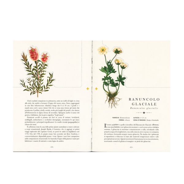 I fiori - Il libro che si trasforma in un’opera d’arte