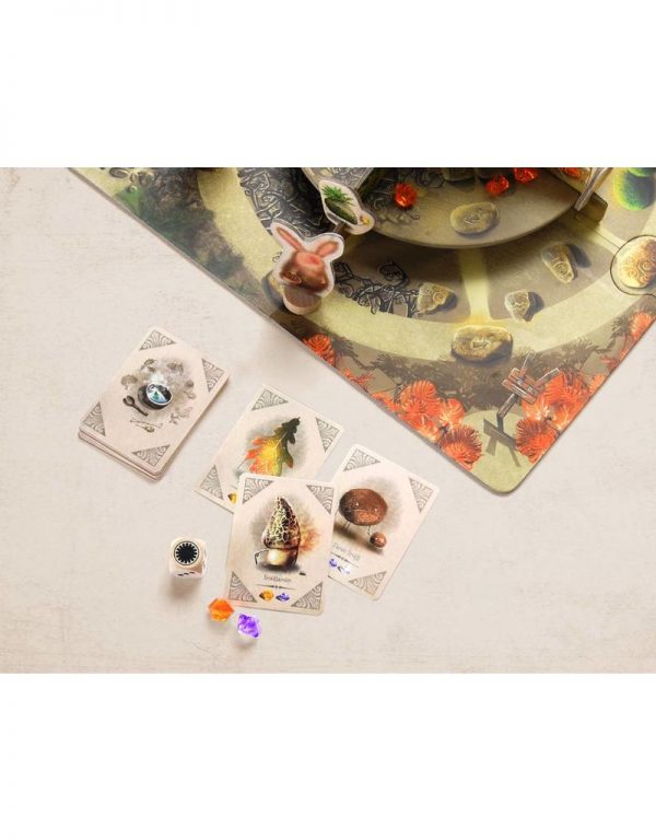 Gioco in scatola Gus magical forest Marbushka