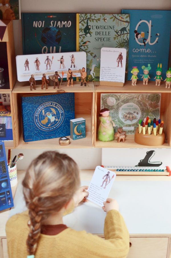 Carte apprendimento Baboo L'evoluzione degli ominidi