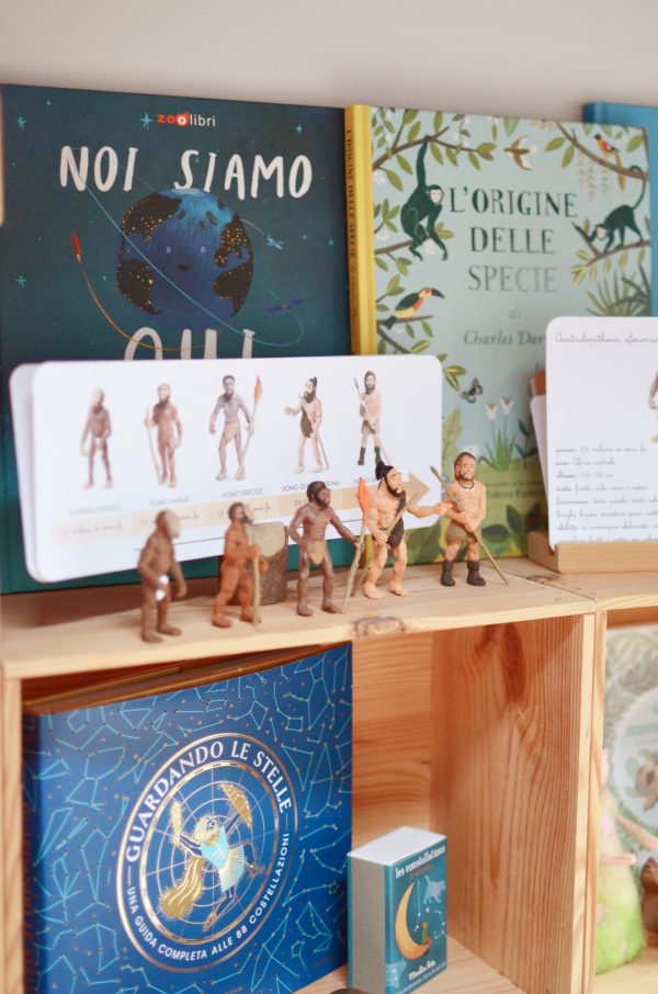 Carte apprendimento Baboo L'evoluzione degli ominidi