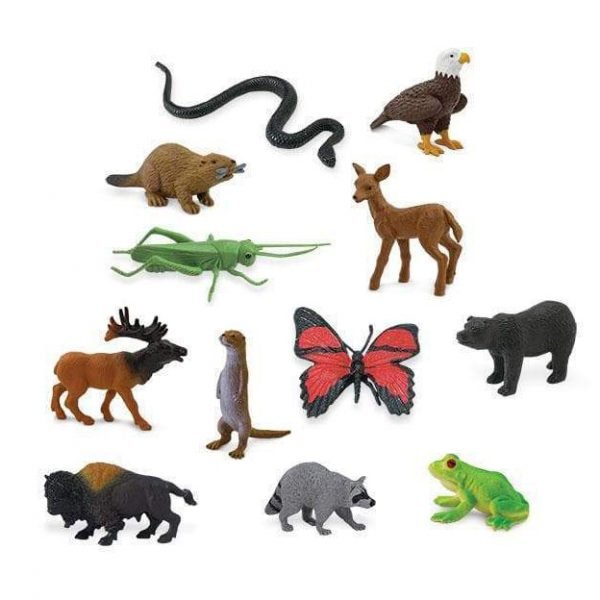 Set 12 miniature animali in the Wood TOOB® Safari LTD