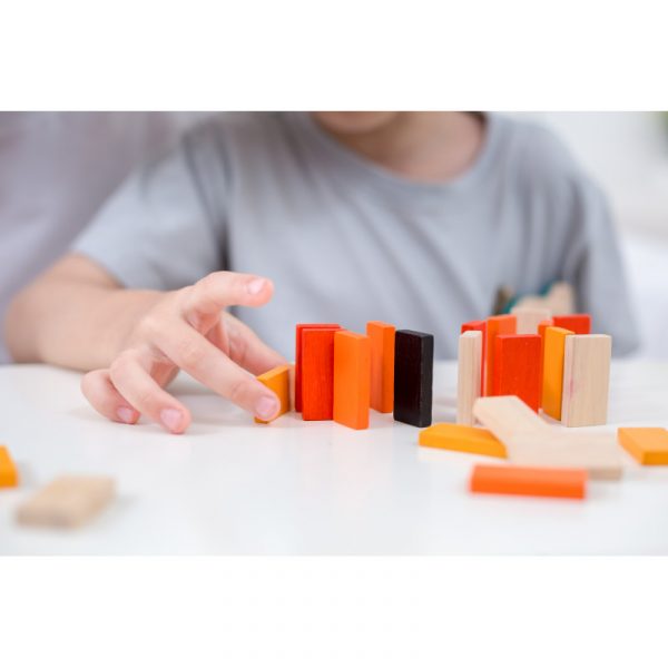 Mini game - Gioco domino Plan Toys