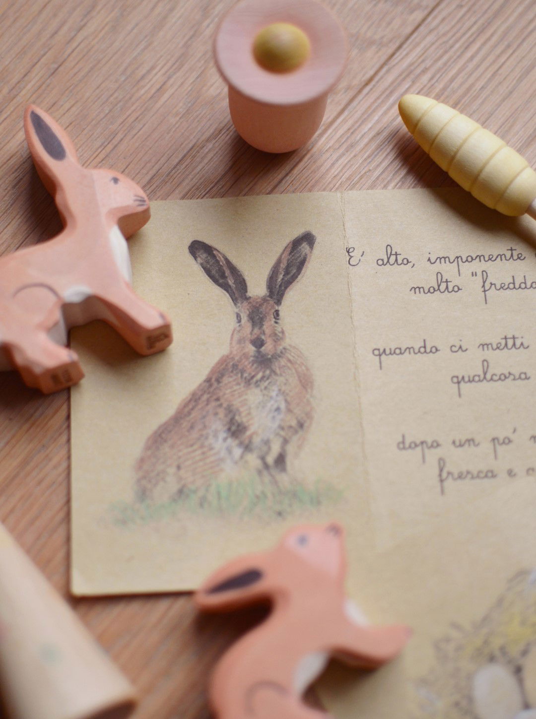 La caccia all'uovo di Pasqua: tante idee e piccoli pensieri -  Babookidsdesign