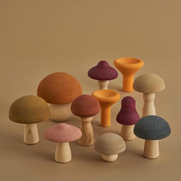 Set 11 Funghi in legno Autunno Raduga Grez
