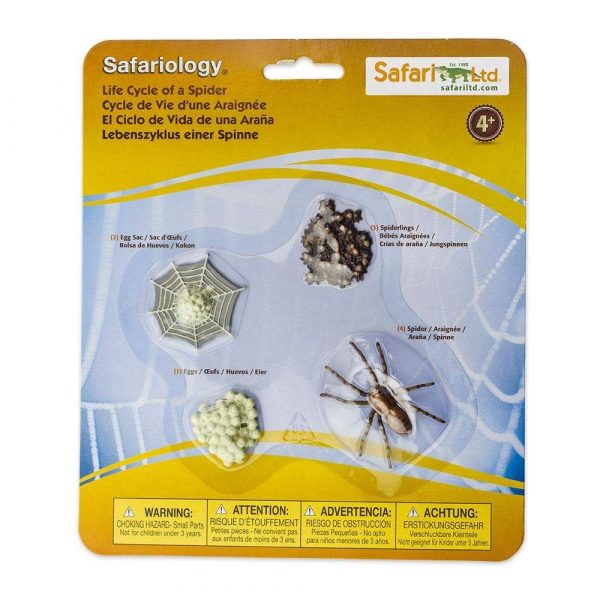 Set ciclo della vita del ragno Safari LTD