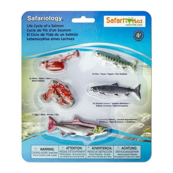 Set ciclo della vita del salmone Safari LTD