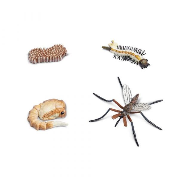 Set ciclo della vita della zanzara Safari LTD