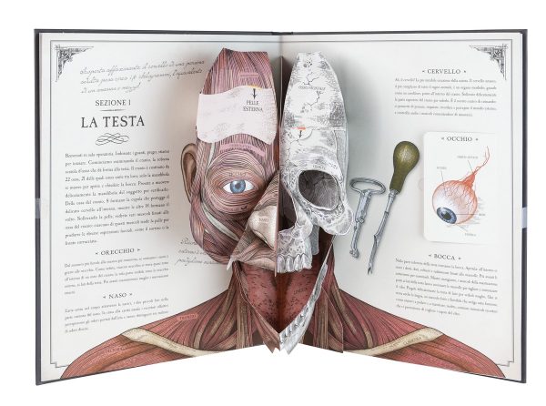 Il corpo umano una guida pop-up all'anatomia