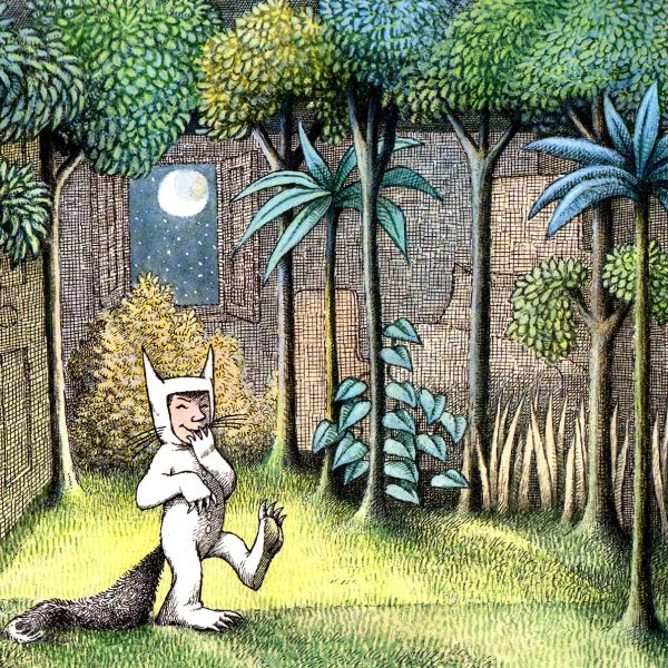 Nel paese dei mostri selvaggi
