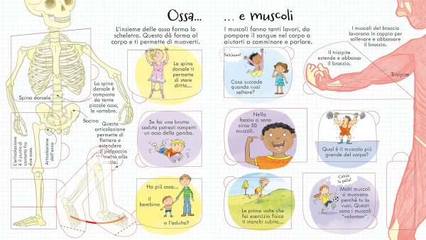 Il corpo umano - Libri animati con alette Usborne