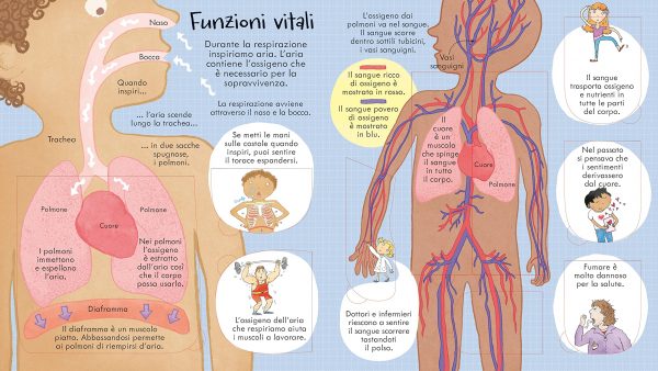 Il corpo umano - Libri animati con alette Usborne