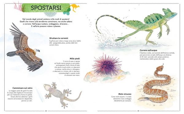 Vivere Uno sguardo nuovo sugli animali Ippocampo Edizioni