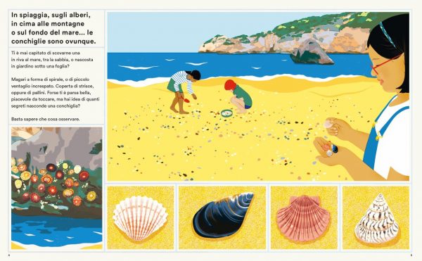 La vita segreta delle conchiglie Ippocampo Edizioni