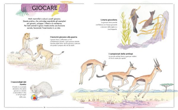 Vivere Uno sguardo nuovo sugli animali Ippocampo Edizioni