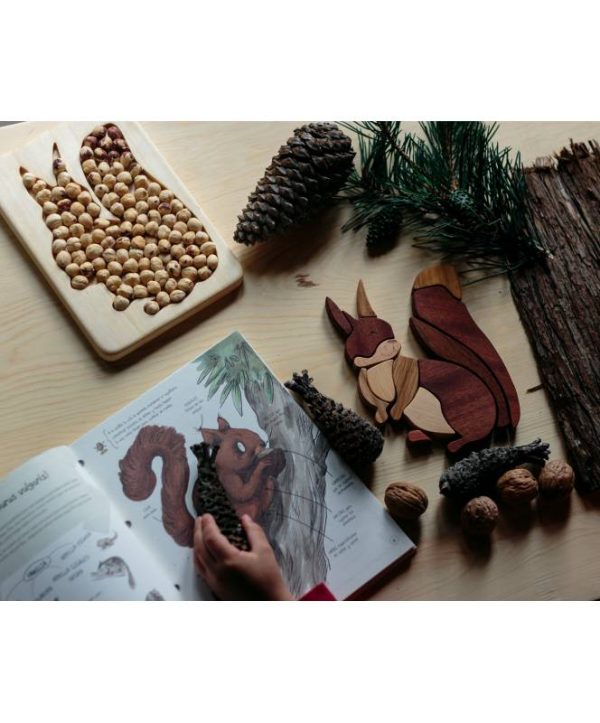 Puzzle incastri Wood Art Scoiattolo Cocoletes