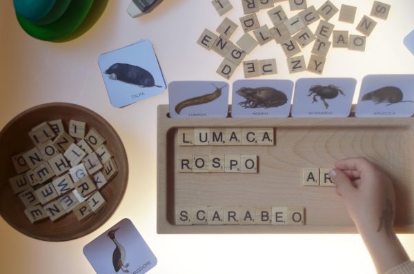 PlayKitBaboo - Magda e il piccolo mondo dello stagno
