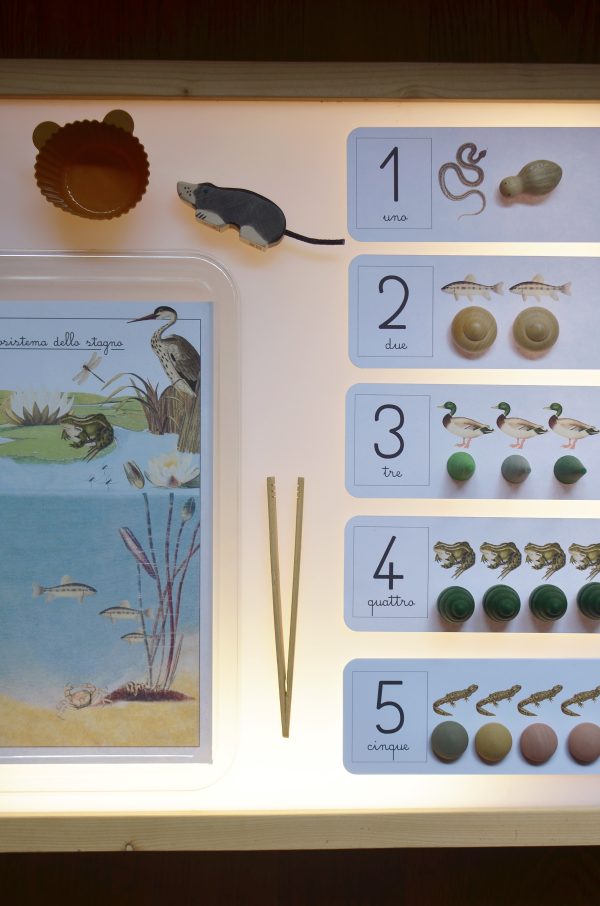 PlayKitBaboo - Magda e il piccolo mondo dello stagno