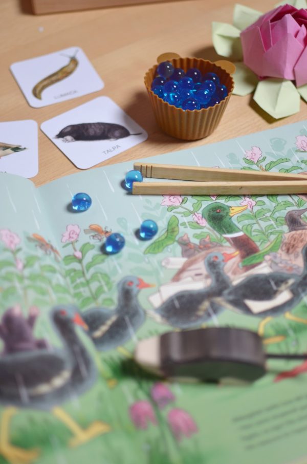PlayKitBaboo - Magda e il piccolo mondo dello stagno