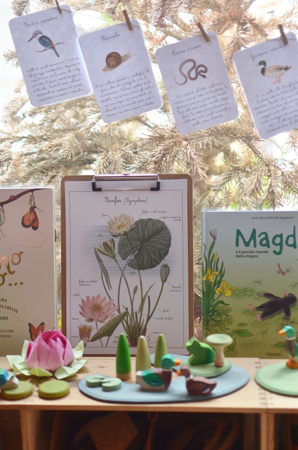 PlayKitBaboo - Magda e il piccolo mondo dello stagno