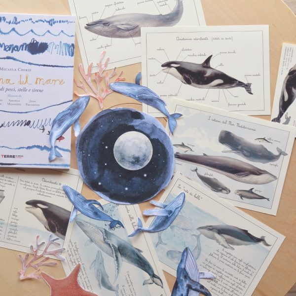 PlayKitBaboo - La forma del mare