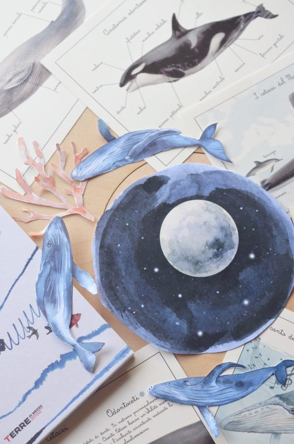 PlayKitBaboo - La forma del mare